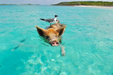 【海の癒し】疲れに、悩みに。海のすごい効果3つ